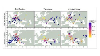 Study Reveals Genetic and Linguistic Roots of Indo-European Populations