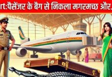 Airport: तलाशी के लिए खोली पैसेंजर के बैग की चेन, अंदर का नजारा देख कांपने लगे हाथ-पैर, निकला मगरमच्‍छ और...