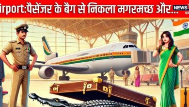 Airport: तलाशी के लिए खोली पैसेंजर के बैग की चेन, अंदर का नजारा देख कांपने लगे हाथ-पैर, निकला मगरमच्‍छ और...