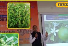 Ayurvedic Plant: साक्षात भगवान का वरदान है ये पौधा, मानव शरीर के लिए है अमृत, इससे जड़ से खत्म होगी सभी बीमारी