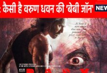 Baby John Movie Review: पसंद आएगा वरुण धवन का नया अवतार, कीर्ति सुरेश के साथ जमी जोड़ी