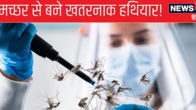 Biological Weapons: मच्‍छरों से कौन सा हथ‍ियार बना रहा था यूक्रेन, जिससे खौफ में थे पुत‍िन? आख‍िर चली गई जनरल की जान