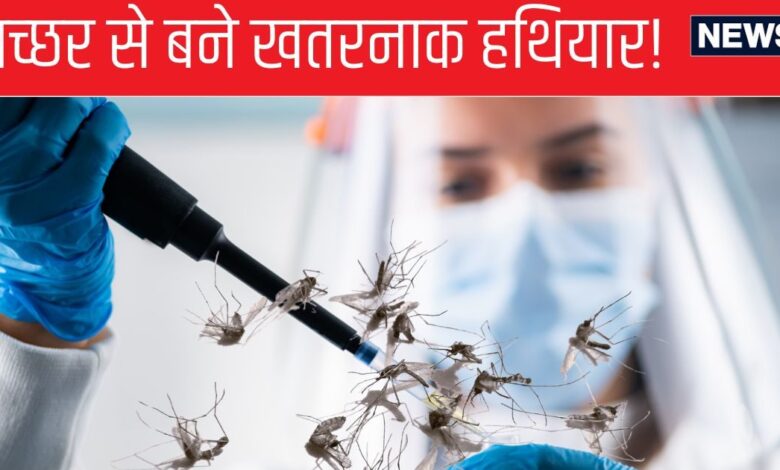 Biological Weapons: मच्‍छरों से कौन सा हथ‍ियार बना रहा था यूक्रेन, जिससे खौफ में थे पुत‍िन? आख‍िर चली गई जनरल की जान