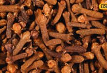 Clove Benefits: किचन में रखा ये छोटा मसाला बड़ी परेशानियों को करता है दूर