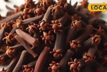 Cloves benefits Eliminate acidity and digestion problems Rich in fibre and iron Laung khane ke Fayde aur nuksan – News18 हिंदी