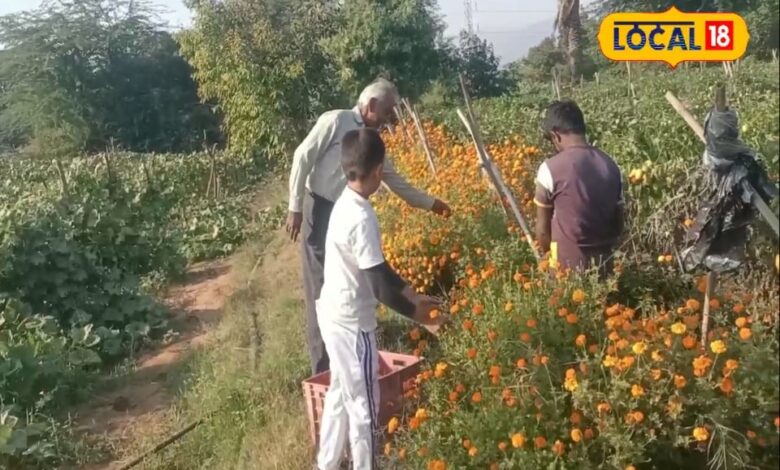 छपरा की शान है ये खास डिश, इसके बिना अधूरा है यहां का सफर, टेस्ट ऐसा कि झट से कर जाएंगे चट