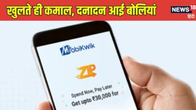 Mobikwik IPO : जीएमपी देखकर खुलते ही निवेशकों ने झोंक दिया पैसा, एक्सपर्ट की भी तो सुनो