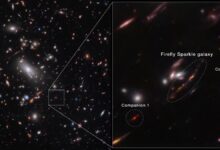 NASA’s Webb Telescope Reveals Firefly Sparkle, a Milky Way-Like Galaxy