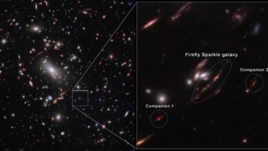 NASA’s Webb Telescope Reveals Firefly Sparkle, a Milky Way-Like Galaxy