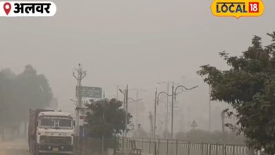 Rajasthan Air Pollution: अलवर- भिवाड़ी की हवा जहरीली, स्वास्थ्य विभाग ने जारी की गाइडलाइन, हानिकारक की स्थिति में पहुंचा AQI