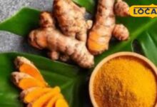 Raw Turmeric Benefits: डार्क सर्कल से लेकर धाग-धब्बे तक...स्किन प्रॉब्लम का इलाज कच्ची हल्दी, इस तरह करें इस्तेमाल