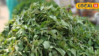 This greens is a precious gift of health and taste in winters. It is available only in winters – News18 हिंदी