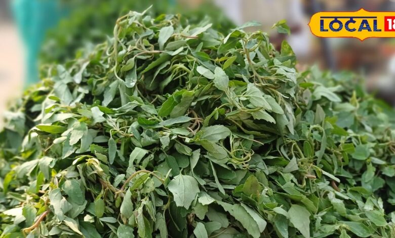This greens is a precious gift of health and taste in winters. It is available only in winters – News18 हिंदी