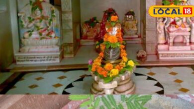 This plant is very dear to Lord Shiva, its wishes are fulfilled by offering it to Lord Shiva... Know its importance. – News18 हिंदी