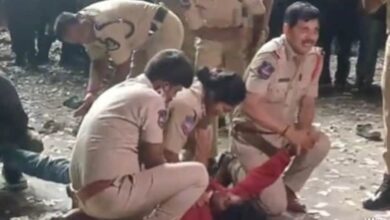 Woman Killed, Son Injured In Stampede At 'Pushpa 2' Screening in Hyderabad