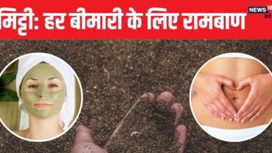 World Soil Day: क्या मिट्टी से दूर होता है तनाव? यह कैसे वजन कर सकती है कम?