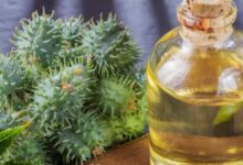 benefits of castor oil for navel massage and detox sa