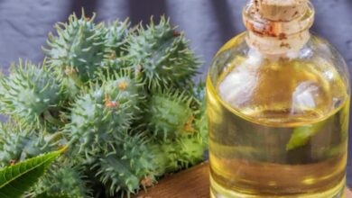 benefits of castor oil for navel massage and detox sa