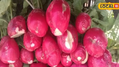 laal mooli ka salad khane ke fayde aur nuksan benefits of eating red radish – News18 हिंदी