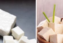 paneer vs tofu for weight loss benefits and nutrition comparison sa