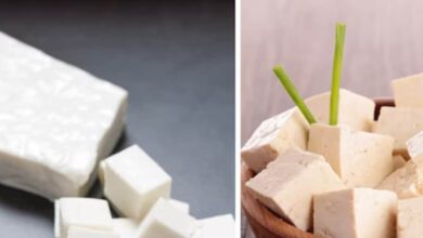 paneer vs tofu for weight loss benefits and nutrition comparison sa