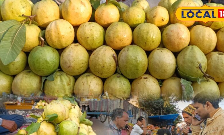 अपनी मिठास से धमाल मचा रहा सेब जैसा यह अमरूद, इसके गुलाबी रंग के दीवाने हैं लोग, यहां रोजाना 50-60 क्विंटल की खपत – News18 हिंदी