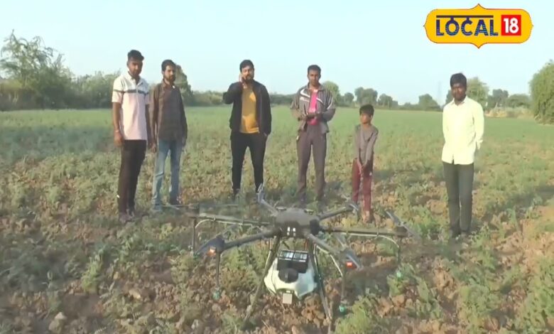 Jungle news: जंगल में देखने को नहीं मिलेंगे लाइगर, क्या आप जानते हैं इंडिया से इनका कनेक्शन?