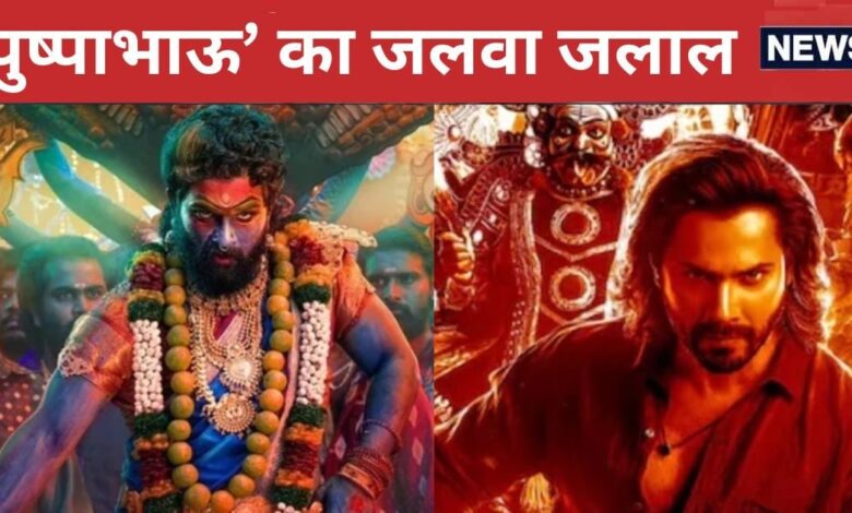 'पुष्पा 2' के आगे पहले दिन ही झुक गई 'बेबी जॉन', क्रिसमस के दिन अल्लू अर्जुन को टक्कर नहीं दे सके वरुण धवन