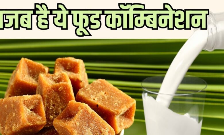 ब‍िस्‍तर पर जाने से पहले, दूध के साथ खा लेना ये 1 चीज, खून से लेकर हड्ड‍ियों तक की 6 परेशान‍ियां होंगी उड़न-छू