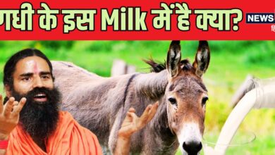 बाबा रामदेव ने जवानी के लि‍ए अपनाया गधी का दूध! क‍ितना पावरफुल है ये Milk, जानें क्‍या कहता है व‍िज्ञान