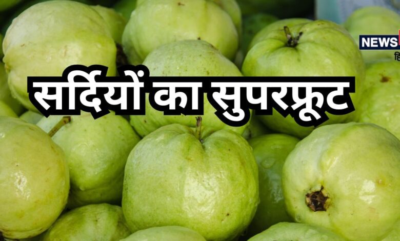 वेट लॉस से लेकर डायबिटीज तक का इलाज है अमरूद, सर्दियों के इस खास फल में है बहुत ताकत, स्किन भी बनेगी चमकदार