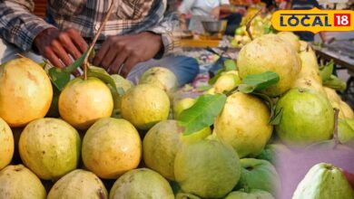 सर्दियों का राजा है ये फल, इसके फायदे के आगे सेब-अनार भी फेल, ये लोग रहे दूर