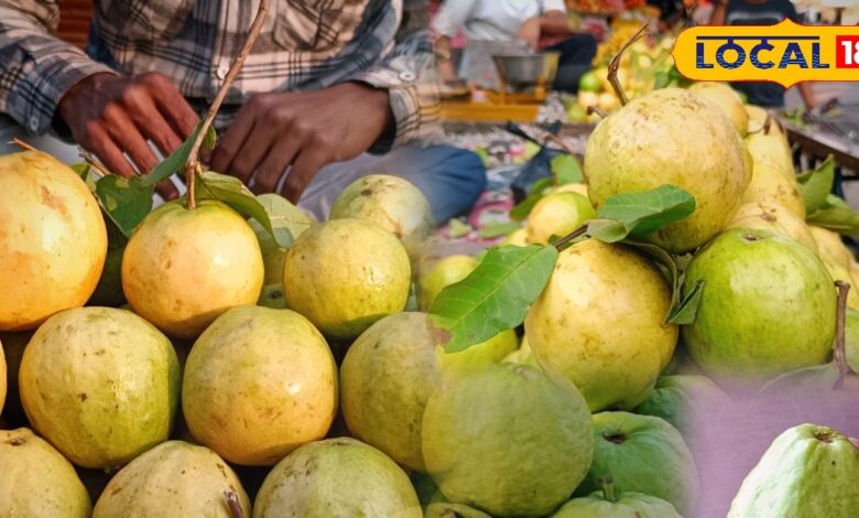 सर्दियों का राजा है ये फल, इसके फायदे के आगे सेब-अनार भी फेल, ये लोग रहे दूर