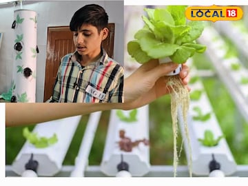 हाइड्रोपोनिक हाइड्रोपोनिक