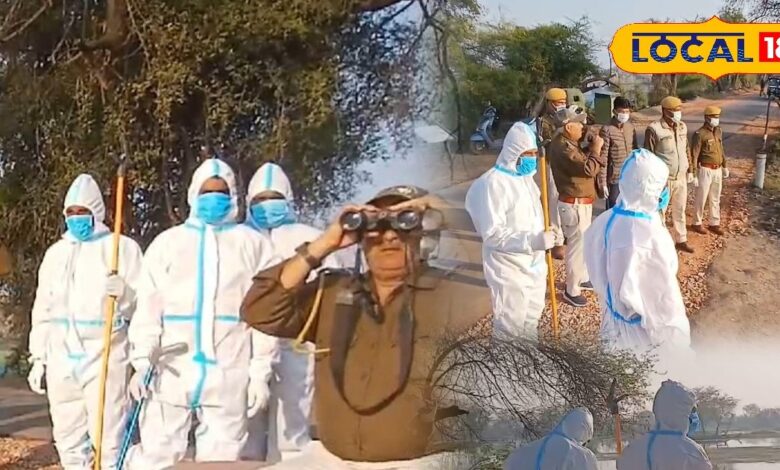 After bird flu alert in Keoladeo National Park, surveillance is now being done by wearing PP kit