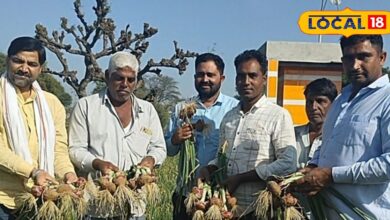 राजस्थान के इस जगह को बोलते हैं 'प्याज वाला गांव', सबसे ज्यादा होती है पैदावार, क्या है खासियत