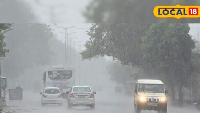 Jaipur Weather Update: राजस्थान का बदला मौसम, सर्दी खत्म गर्मियां हुई शुरू, बारिश के आसार नहीं, जानें आज कैसा रहेगा