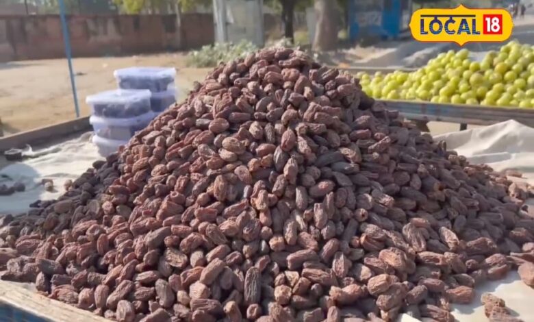 राजस्थान में खजूर की नई वैरायटी विकसित, बाजार में आते ही बढ़ी डिमांड