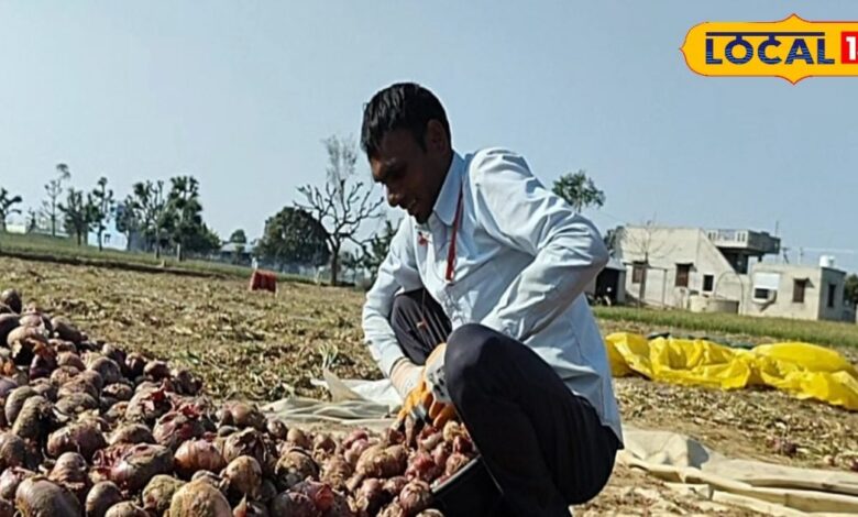 सीकर के इस किसान ने 50 बीघा में लगाया प्याज, एक सीजन में कमाई 25 लाख – News18 हिंदी
