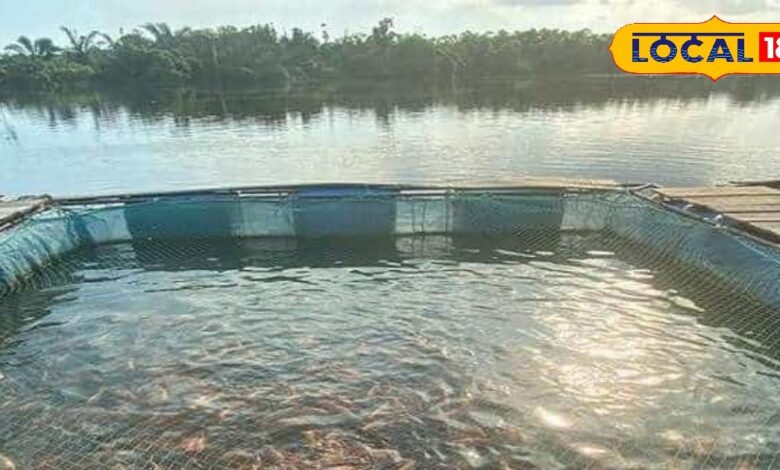 तालाब में मछली पालन पर सरकार दे रही लाखों की सब्सिडी, पोर्टल पर ऐसे करें आवेदन, यह लगेंगे कागजात