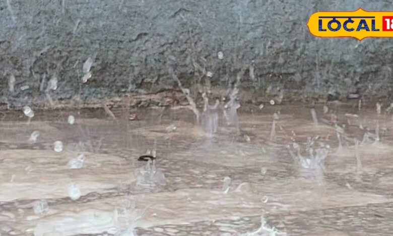 Rajasthan Weather Update : आज गर्मी से मिलगी राहत, सर्दी मारेगी यू टर्न, IMD ने इन जिलों में जारी किया बारिश का अलर्ट