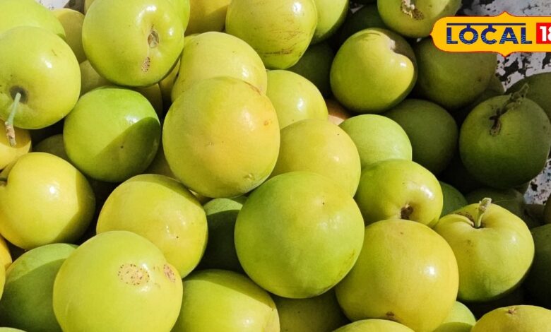 Agriculture News: बाड़मेर में कलम करके बनाई गई बेर की गोला किस्म, 750 पौधों से लाखों की हो रही कमाई !