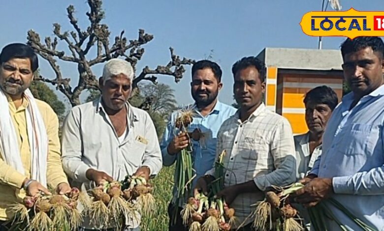 Rajasthan Budget 2025: 'सिर्फ घोषणा नहीं, काम चाहिए'...बजट 2025 से किसानों को बड़ी उम्मीद, कह दी ये बात