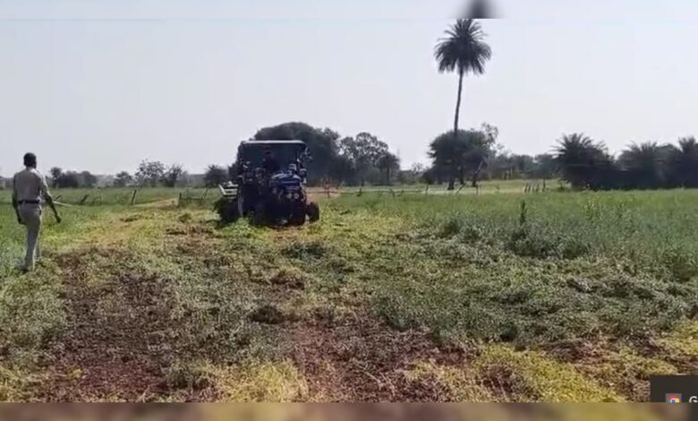 Vidisha Farmer Collapses As Officials Destroy His Standing Crop