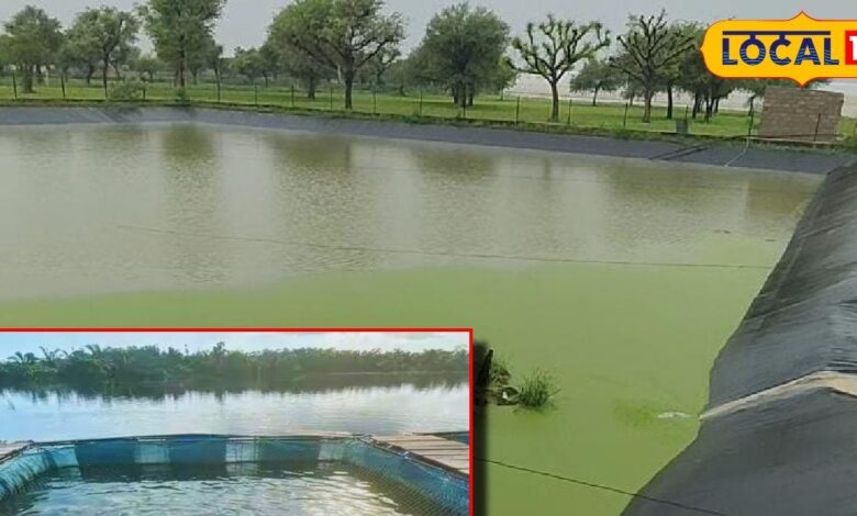 किसानों के लिए सुनहरा मौका! खेती के साथ करें मछली पालन, इस योजना के तहत मिलेगी सब्सिडी