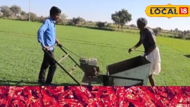 कम पानी, ज्यादा मुनाफा! नागौरी मैथी की खेती से बदल रही किसानों की किस्मत