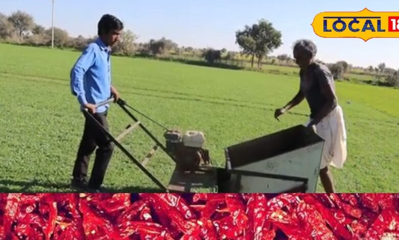 कम पानी, ज्यादा मुनाफा! नागौरी मैथी की खेती से बदल रही किसानों की किस्मत