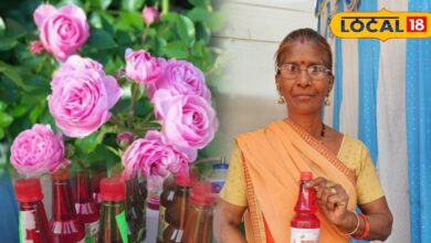 "Haldighati's Chaitri Rose Becomes a New Source of Livelihood for Women"