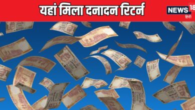 5 ELSS Funds That Made Investors Rich in 10 Years। सालाना 21 फीसदी मिला रिटर्न, टैक्‍स बचा सो अलग, इन 5 ELSS फंडों ने कर दी मौज