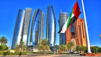 Dubai’s Crypto Regulator Alerts Investors on New Memecoins Flooding Market 